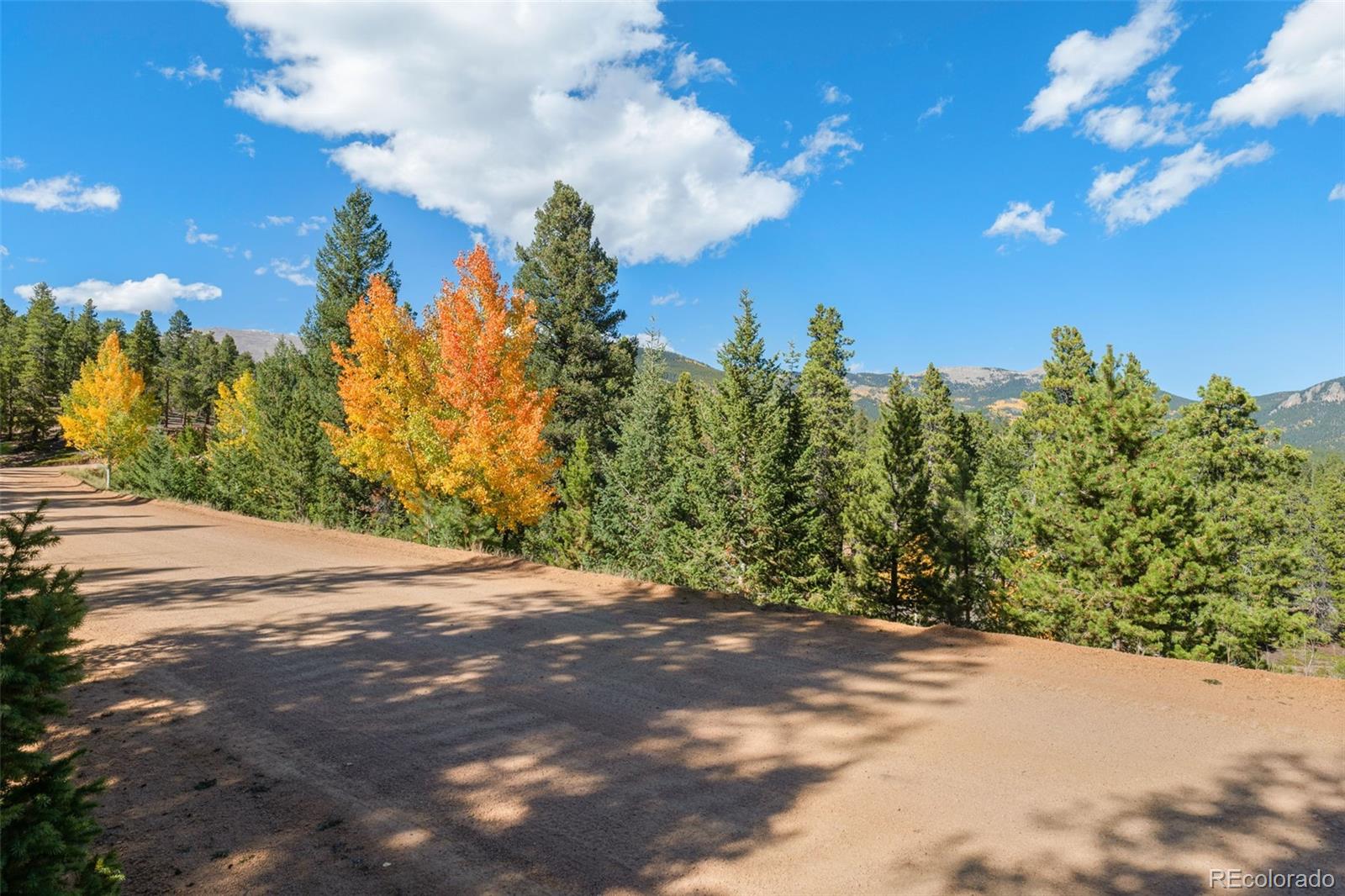 1001 Royal Ridge Drive Bailey, CO 80421 - Photo 18 of 25 a view of a pathway both side of a road with lamp on both side of it