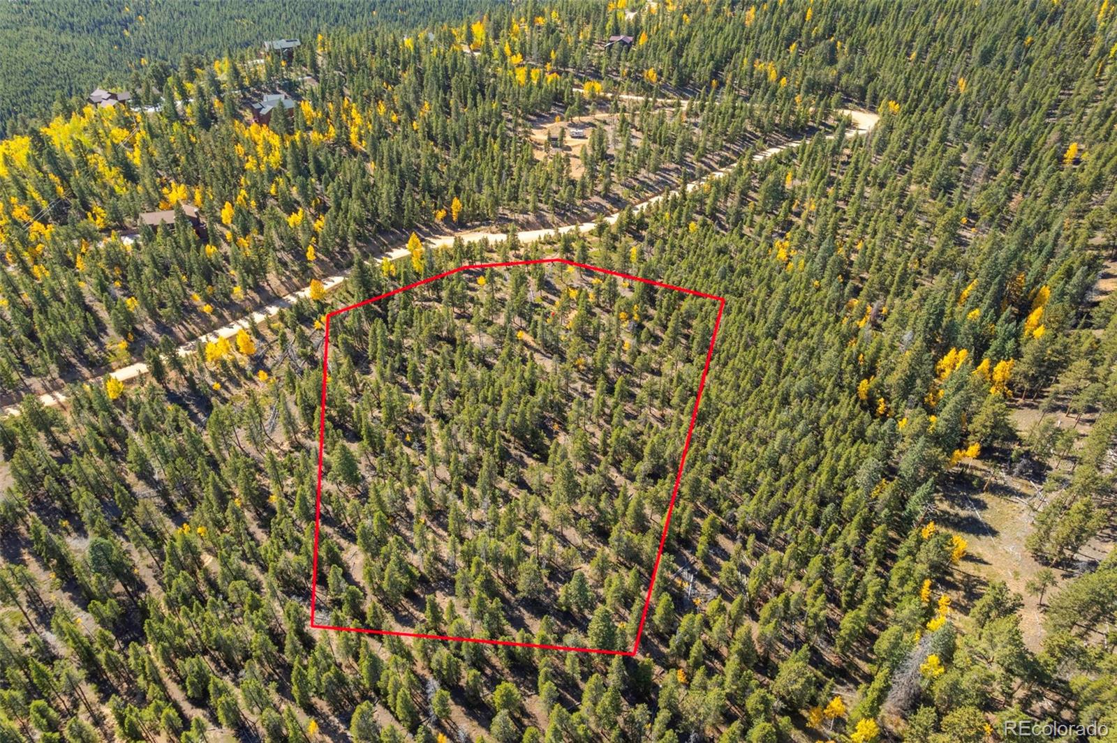 1001 Royal Ridge Drive Bailey, CO 80421 - Photo 4 of 25