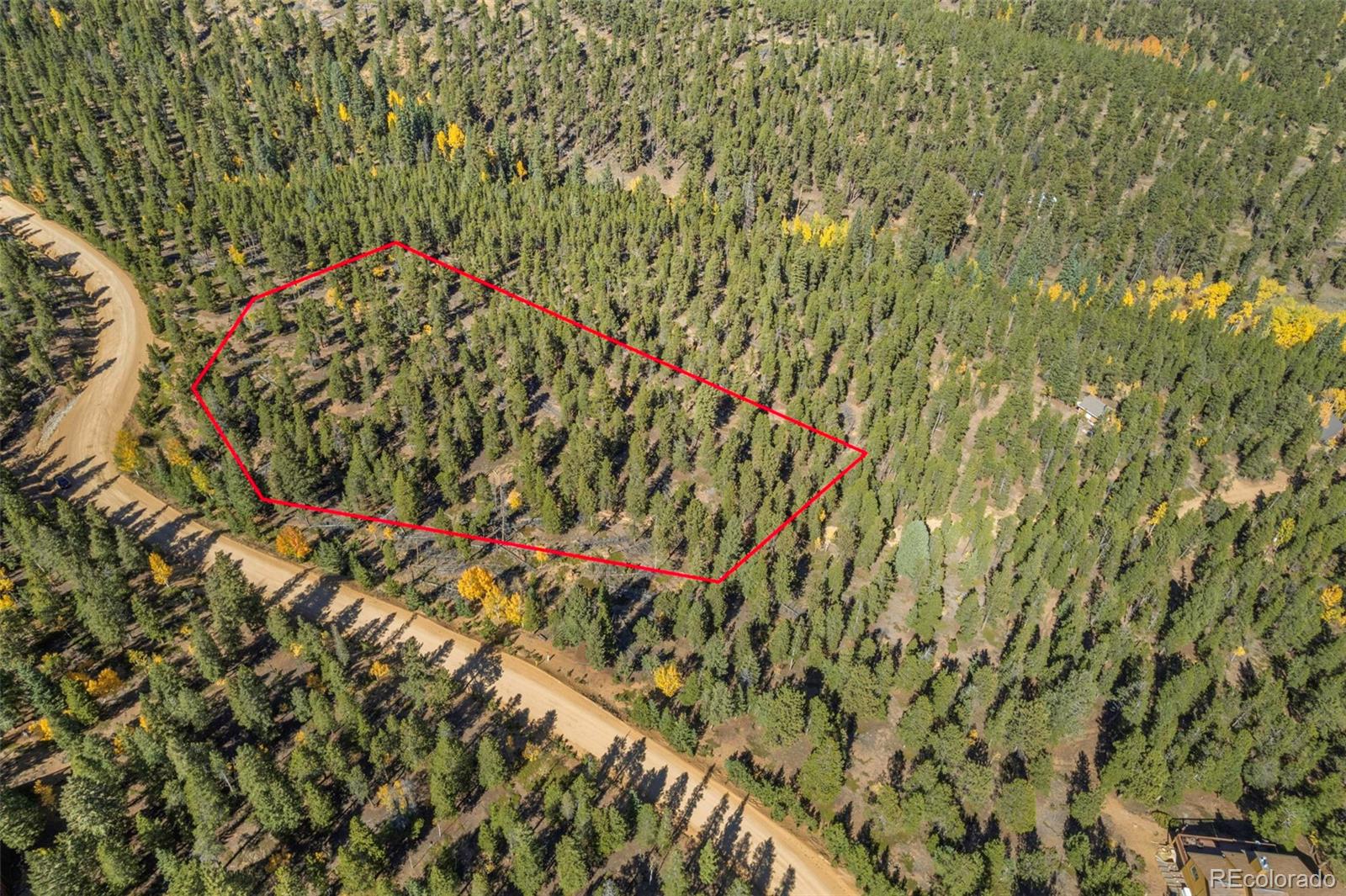 1001 Royal Ridge Drive Bailey, CO 80421 - Photo 4 of 25 a backyard of a house with lots of green space