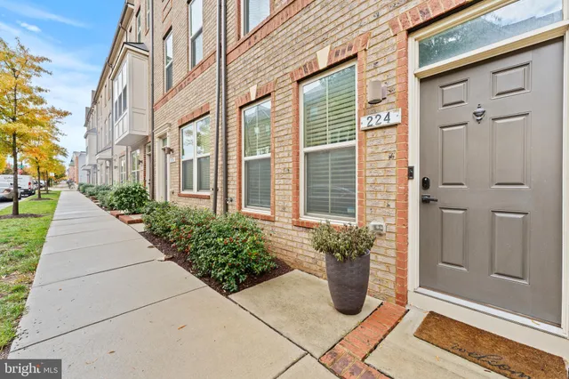 a view of a potted plants with sky view
