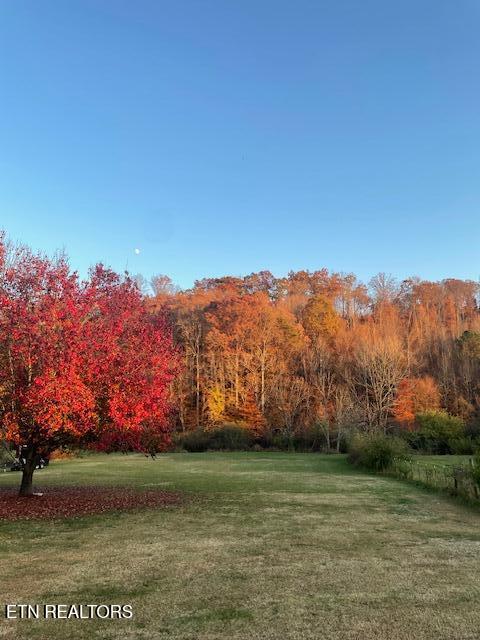 149 Sweetwater Road Philadelphia, TN 37846 - Photo 22 of 25 IMG_3500