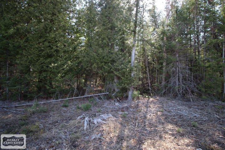 0 East Grand Lake Road Presque Isle, MI 49777 - Photo 5 of 6