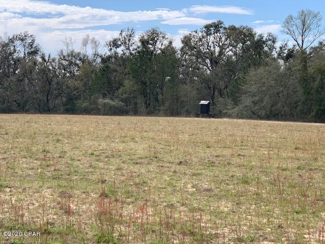 0 Timberlane Road Bascom, FL 32423 - Photo 5 of 5