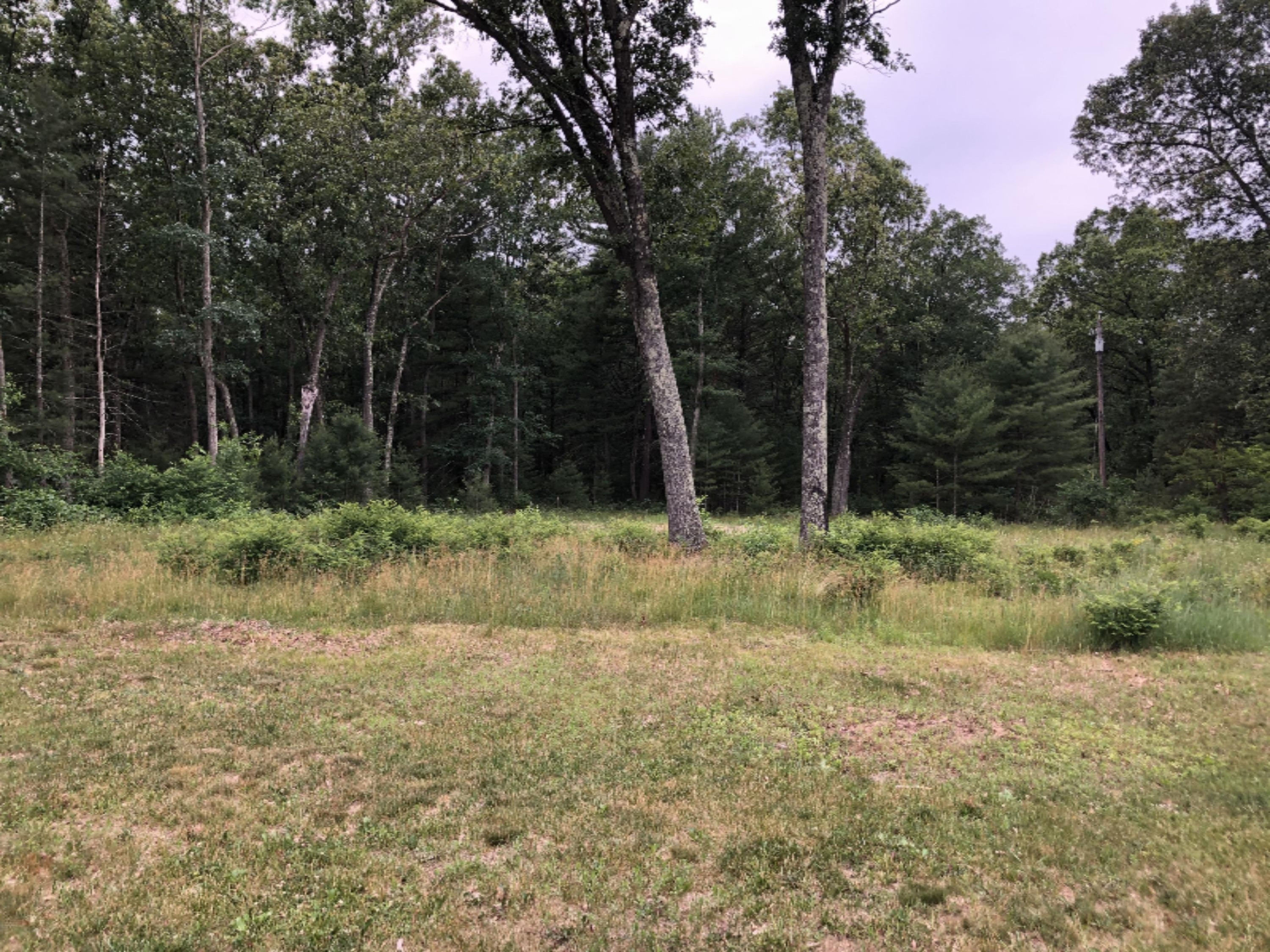 6967 Staple Road Twin Lake, MI 49457 - Photo 13 of 17 IMG_0946