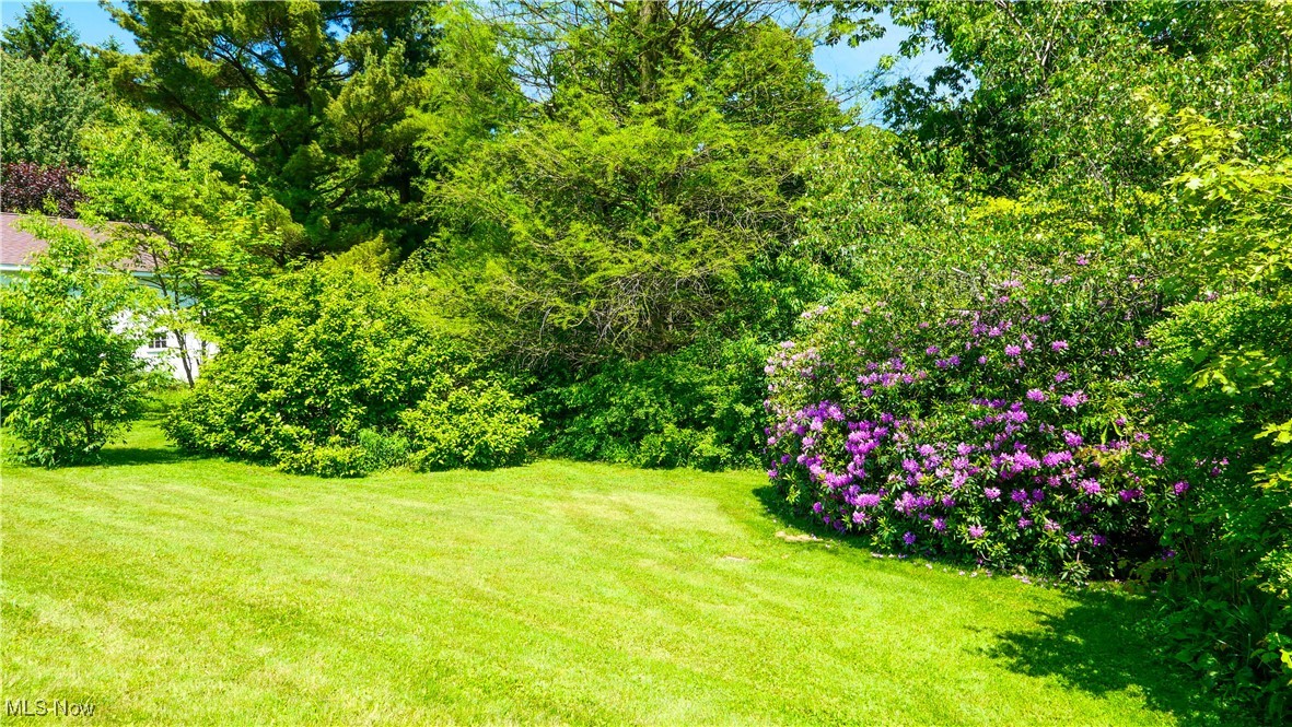 11828 Sheldon Road Mantua, OH 44255 - Photo 25 of 31 Lovely view of flowering shrubs
