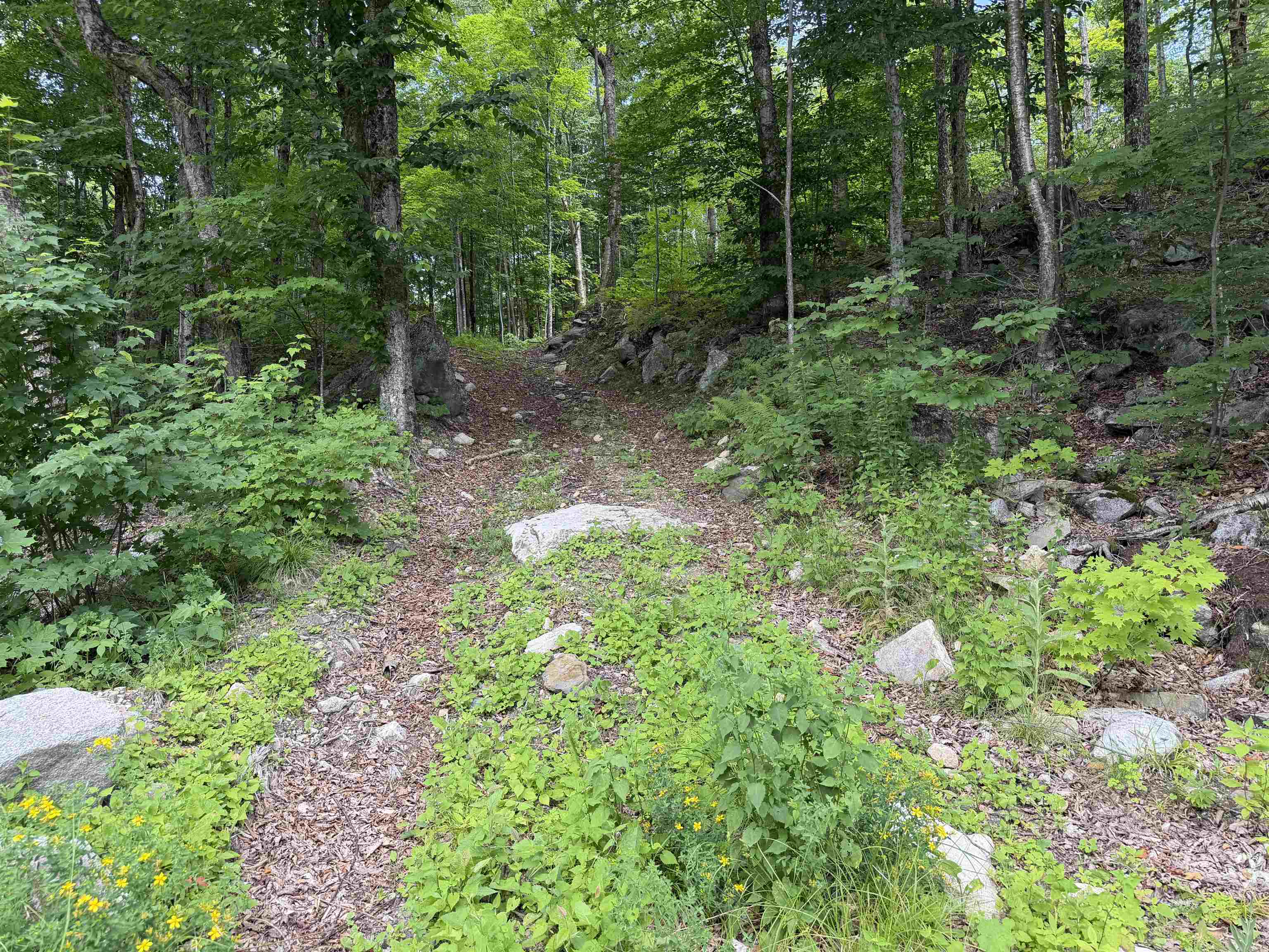 493 Wheeler Mountain Road Barton, VT 05822 - Photo 25 of 48