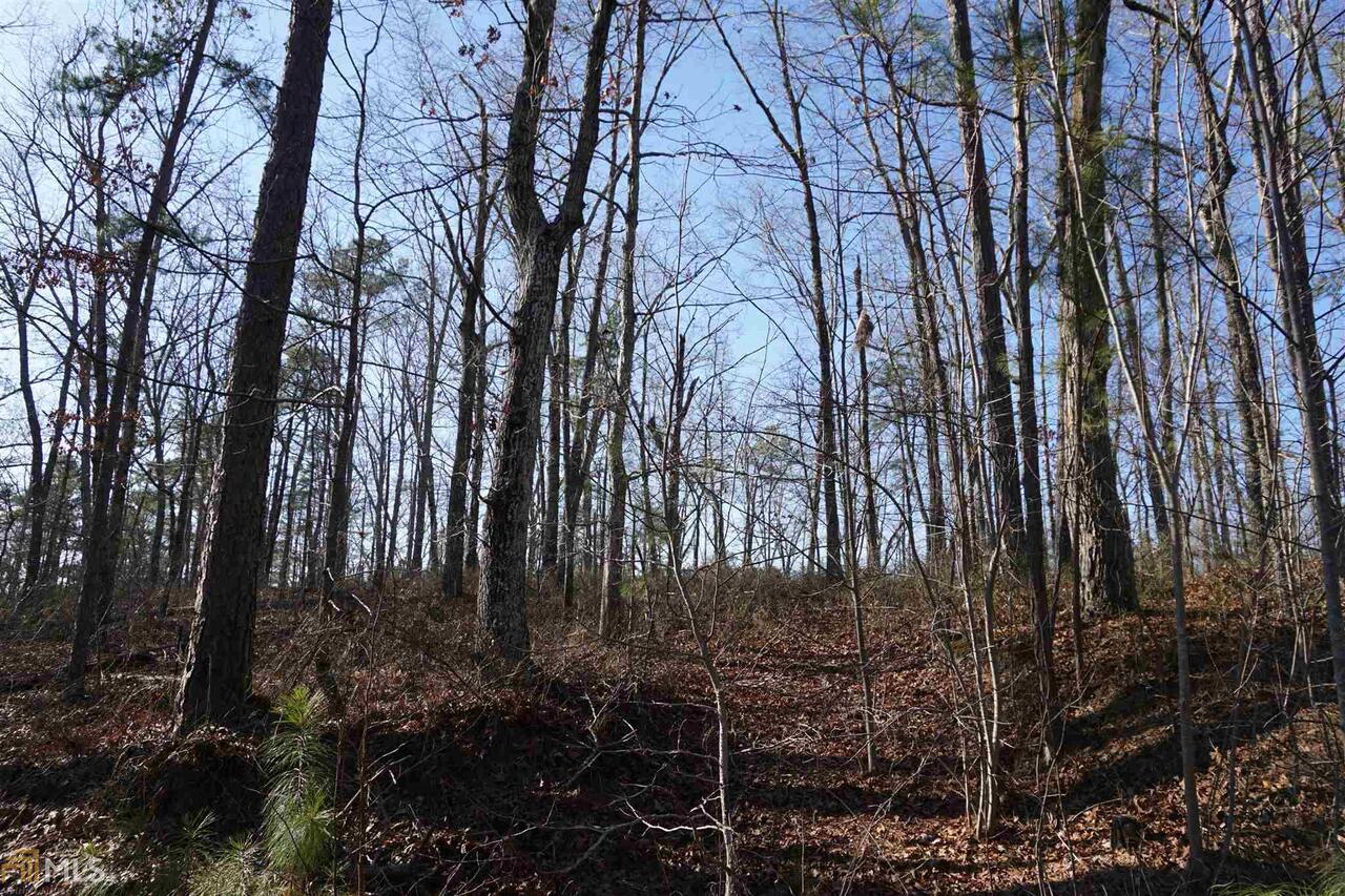 0 Kelly Creek Road Waco, GA 30182 - Photo 1 of 1