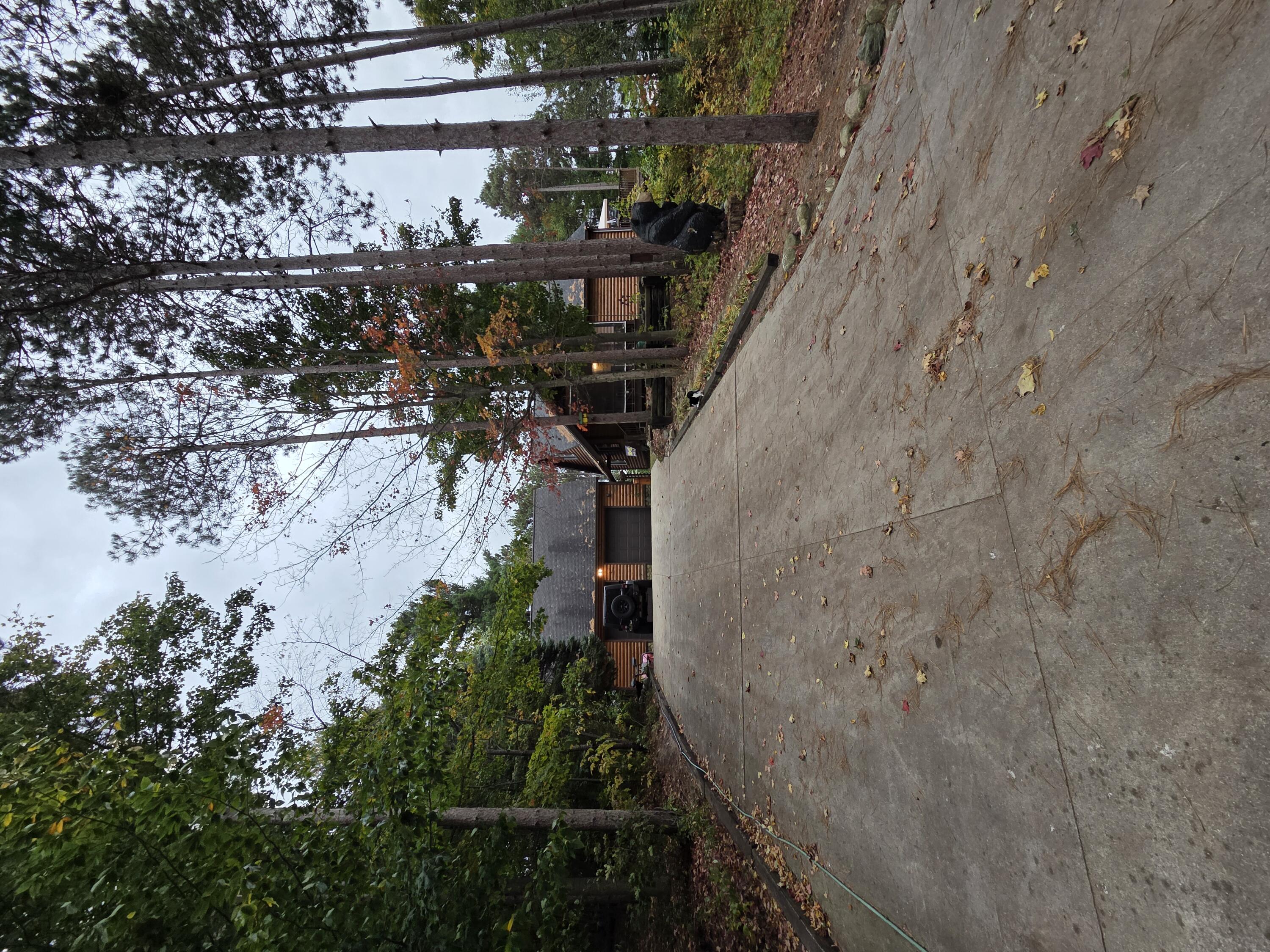 18783 Butwell Road Bear Lake, MI 49614 - Photo 2 of 13 1