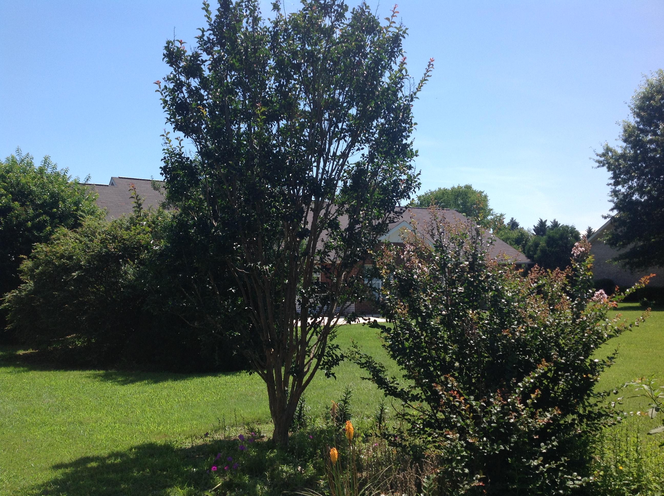 5533 J Riley W Drive Greenback, TN 37742 - Photo 7 of 39 image