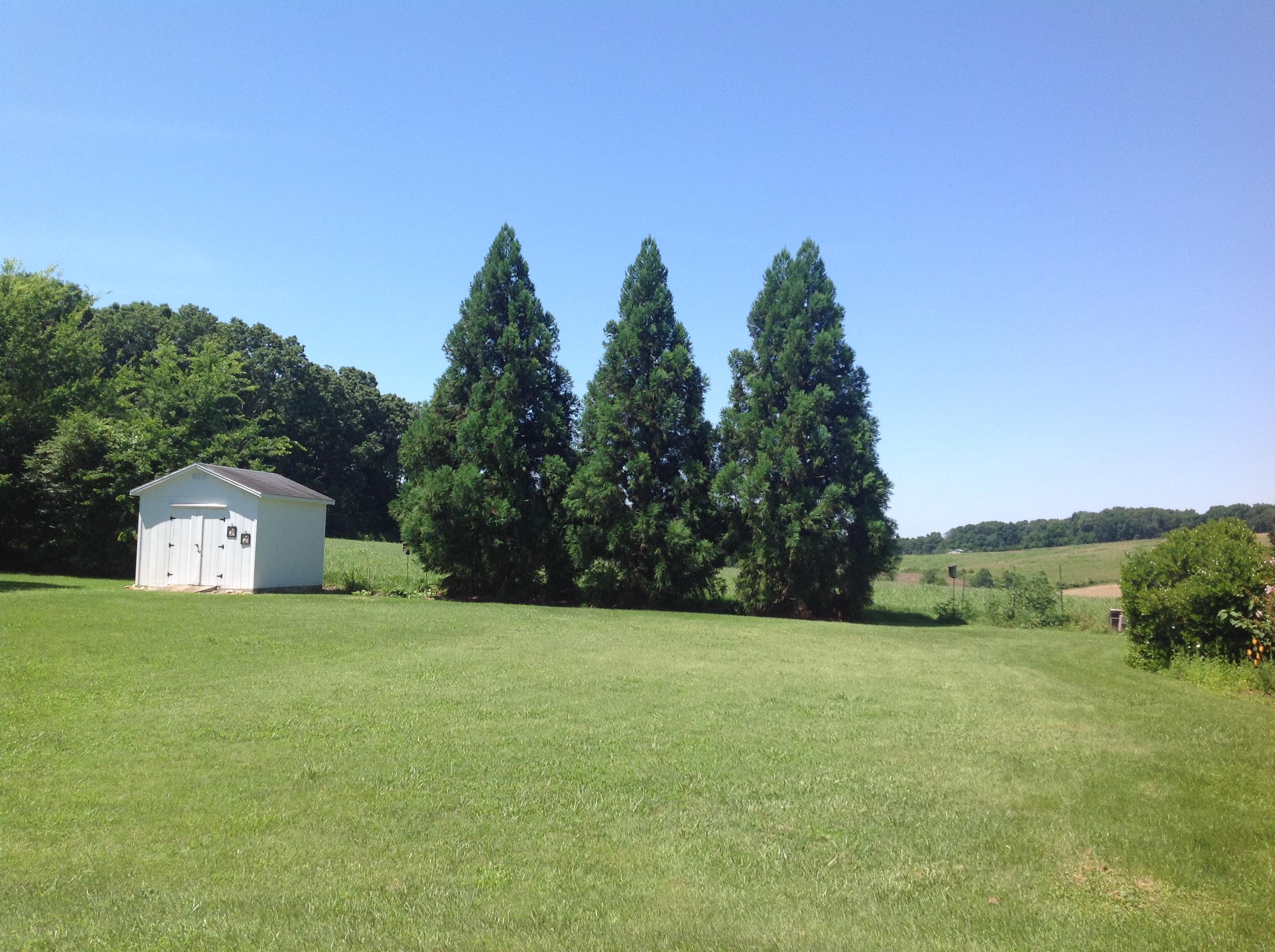 5533 J Riley W Drive Greenback, TN 37742 - Photo 10 of 39 image
