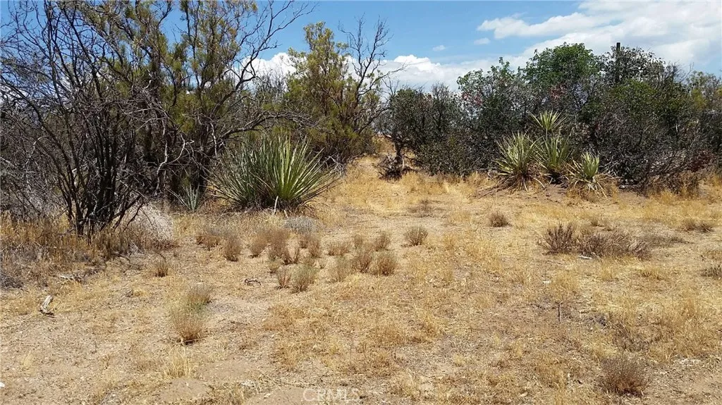 432285 Terwilliger Road Anza, CA 92539 - Photo 5 of 6 a view of a yard covered in snow