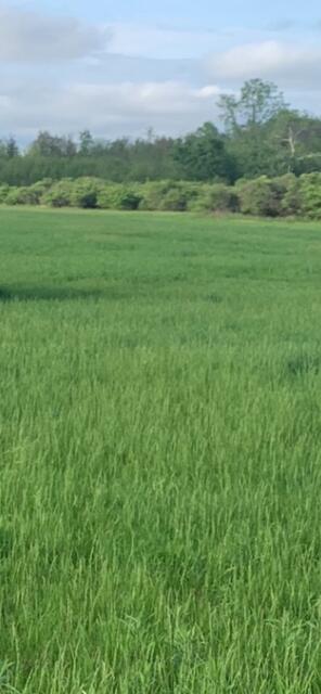 10 10 Mile Road Remus, MI 49340 - Photo 12 of 12 1