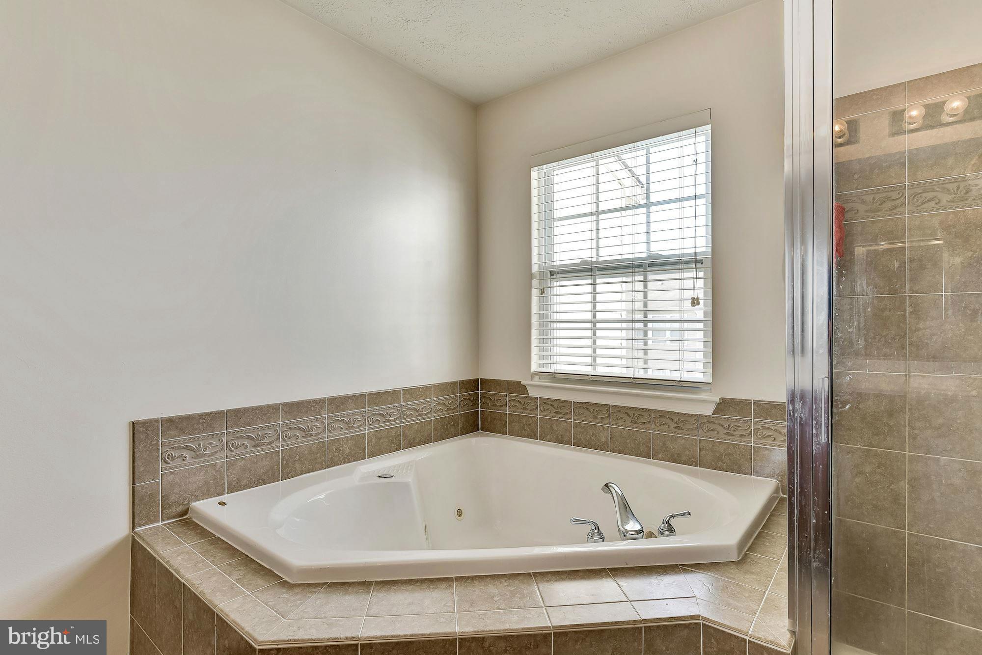 9869 Decatur Road Baltimore, MD 21220 - Photo 15 of 25 Master Bath