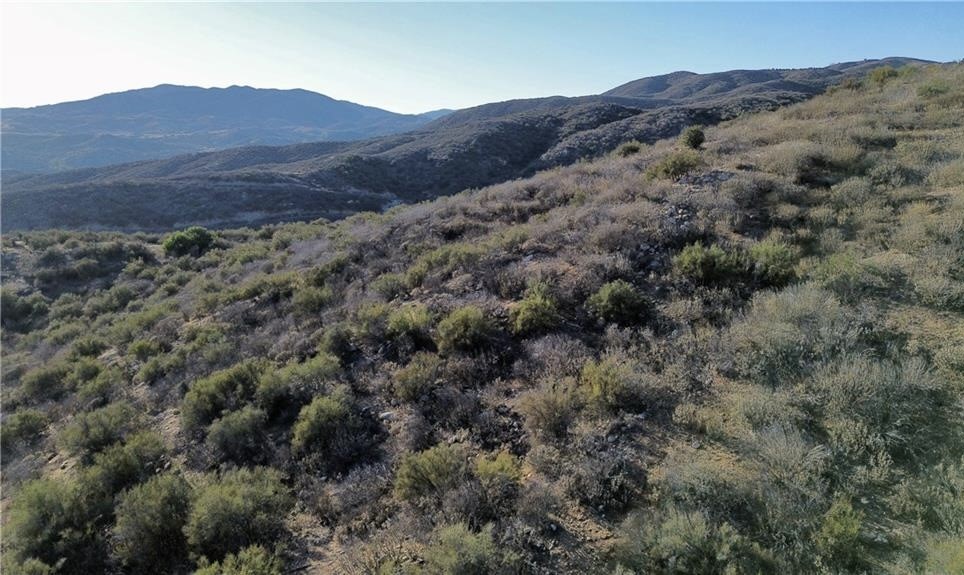 27920 Vista Suelto Road Moreno Valley, CA 92555 - Photo 8 of 16 an aerial view of mountain and tree