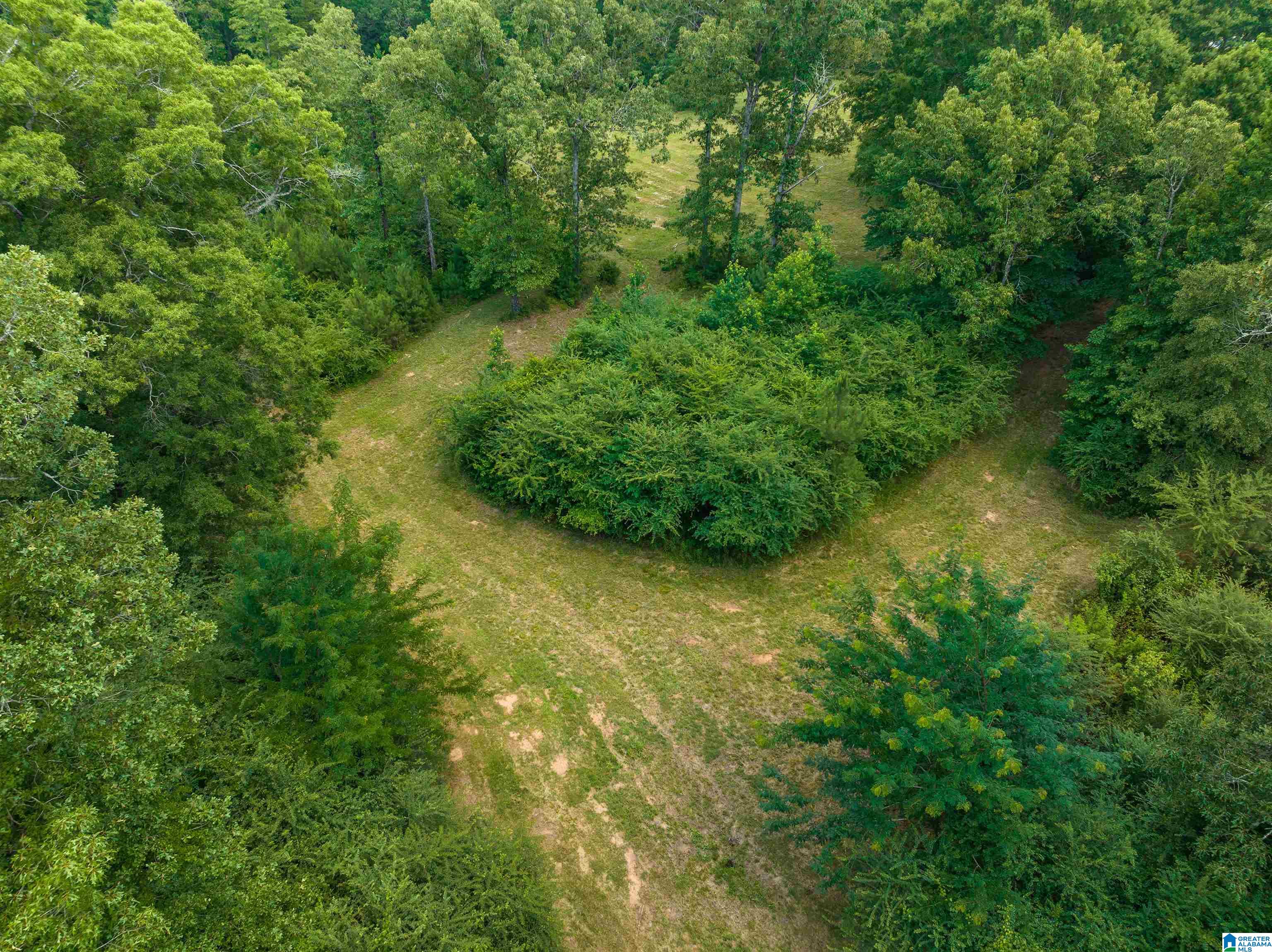 433 Yorkshire Road Columbiana, AL 35051 - Photo 47 of 50