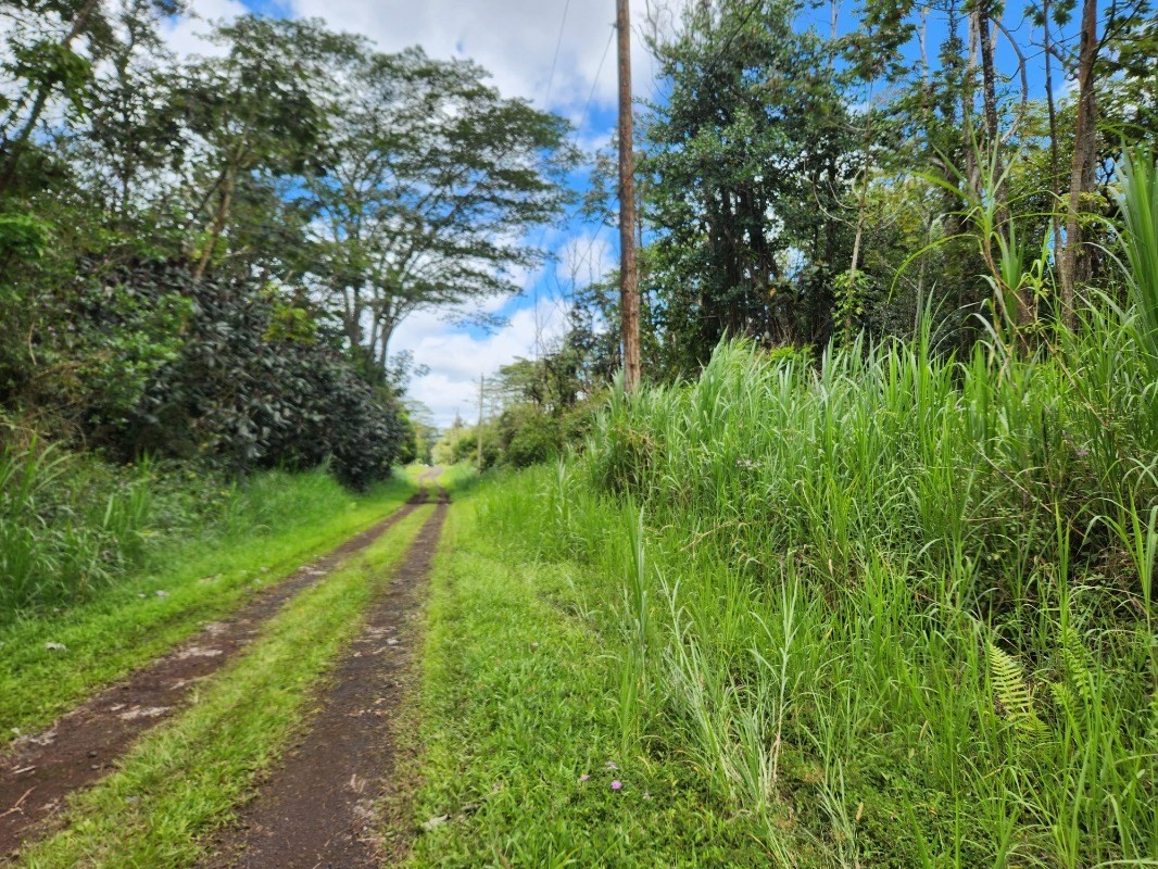 780 Holiday Road Pahoa, HI 96778 - Photo 8 of 11 Gallery Image 8