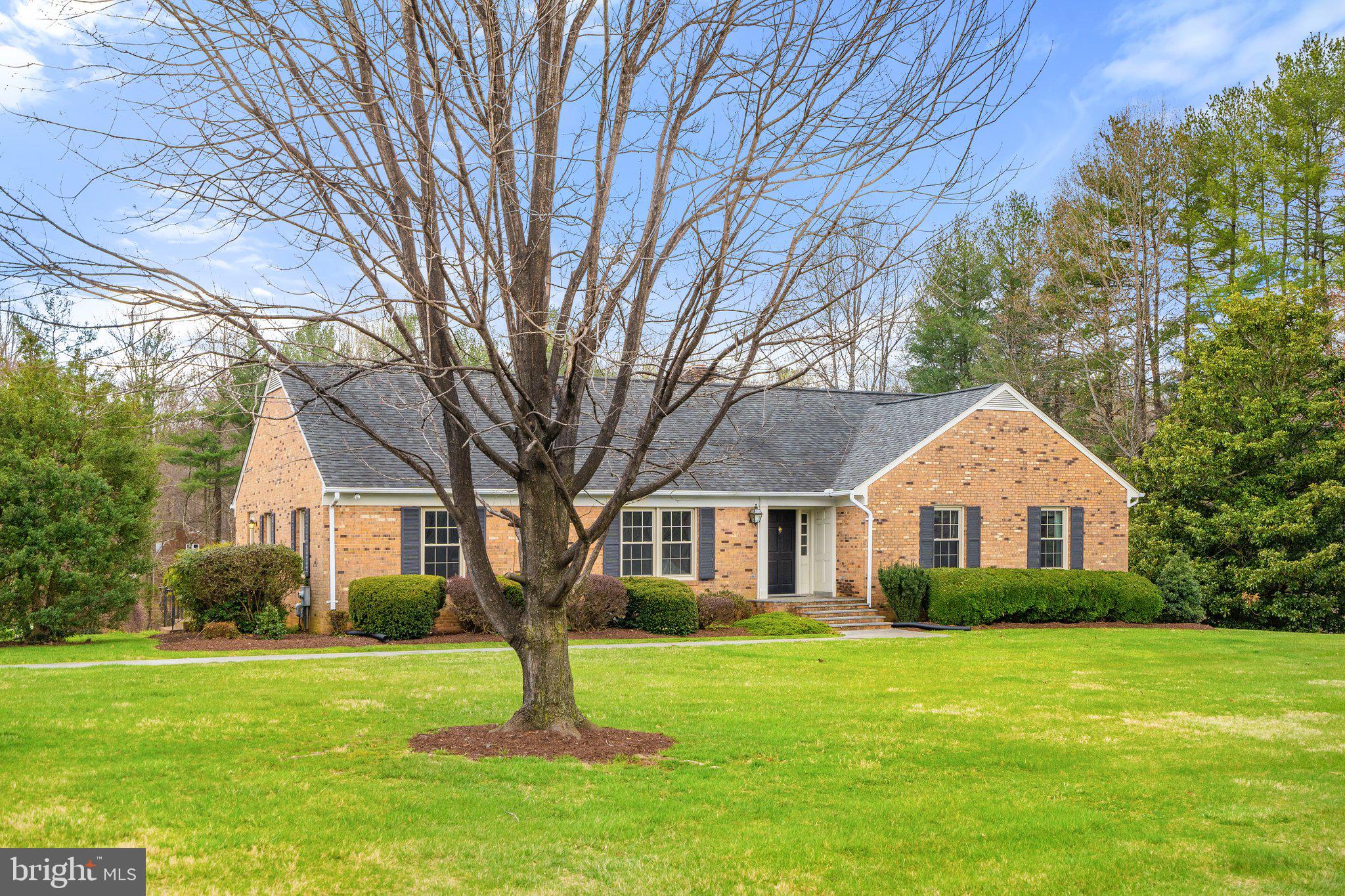 10328 Walker Road Culpeper, VA 22701 - Photo 5 of 79 Mature landscaping