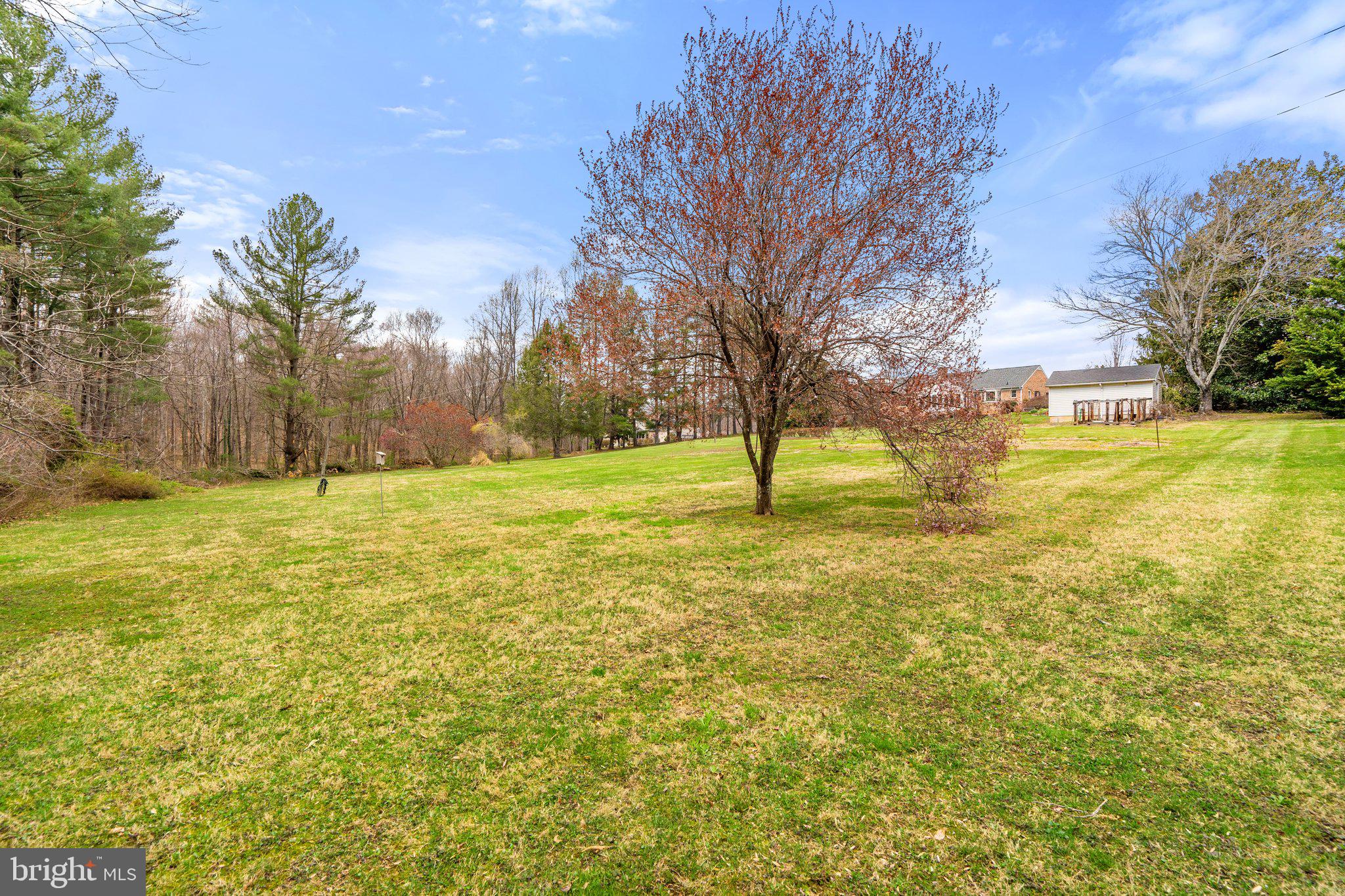 10328 Walker Road Culpeper, VA 22701 - Photo 77 of 79 View from southern corner of property