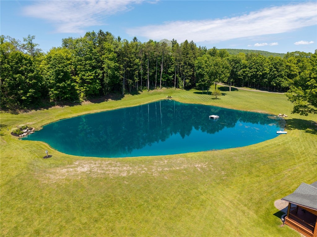10760 Perry Road Arkport, NY 14807 - Photo 46 of 49