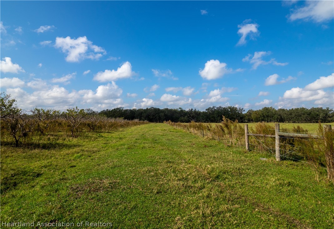 0 North Ed Road Wauchula, FL 33873 - Photo 3 of 6