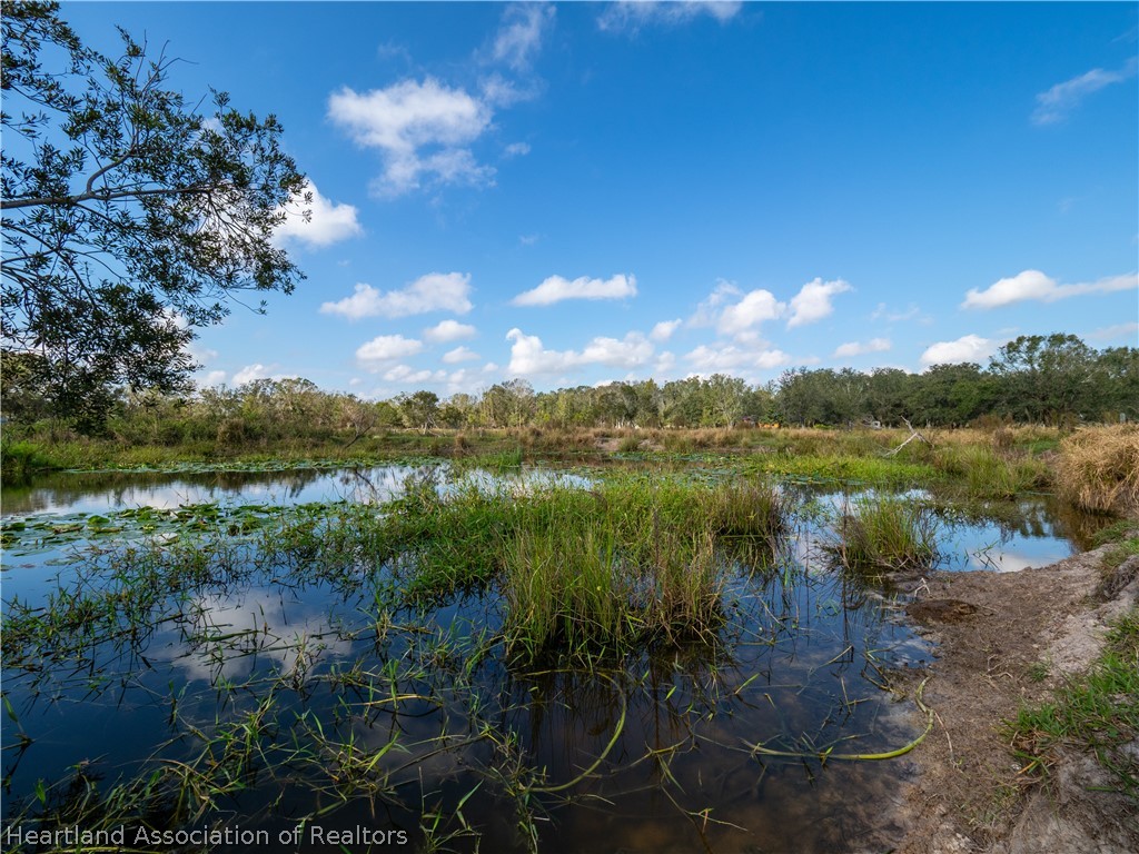 0 North Ed Road Wauchula, FL 33873 - Photo 4 of 6