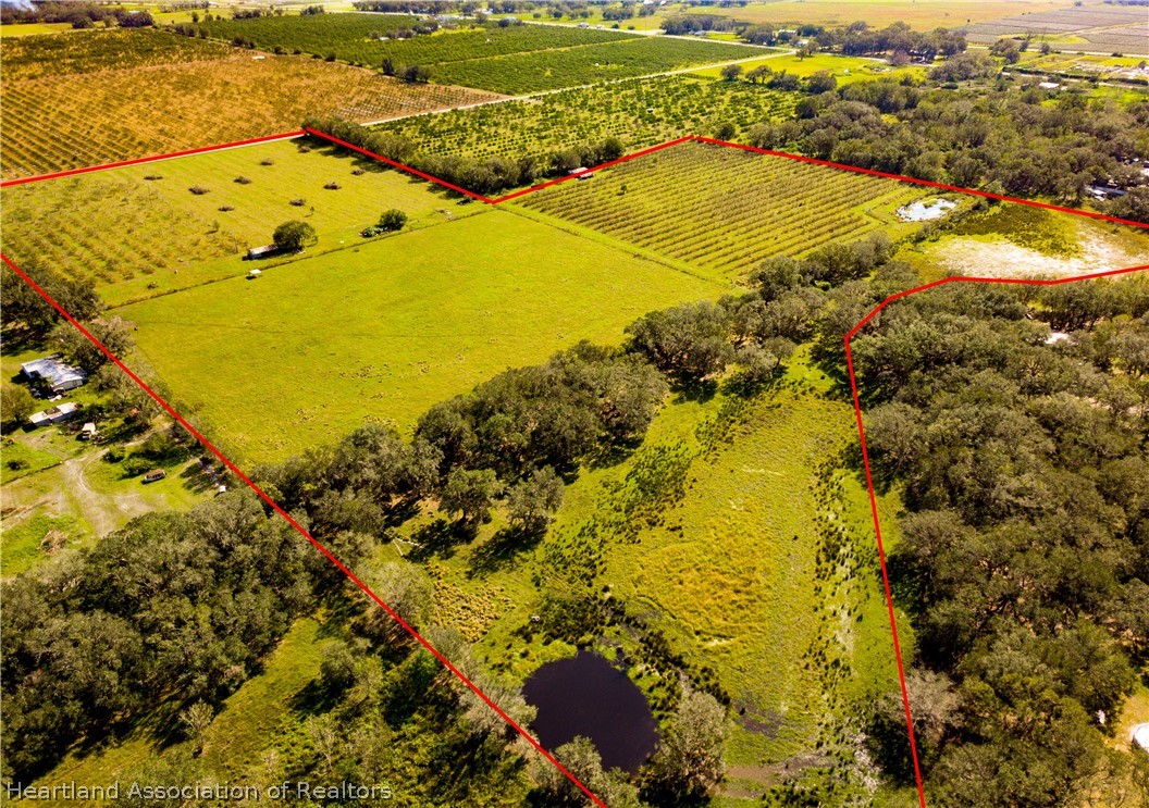 0 North Ed Road Wauchula, FL 33873 - Photo 6 of 6