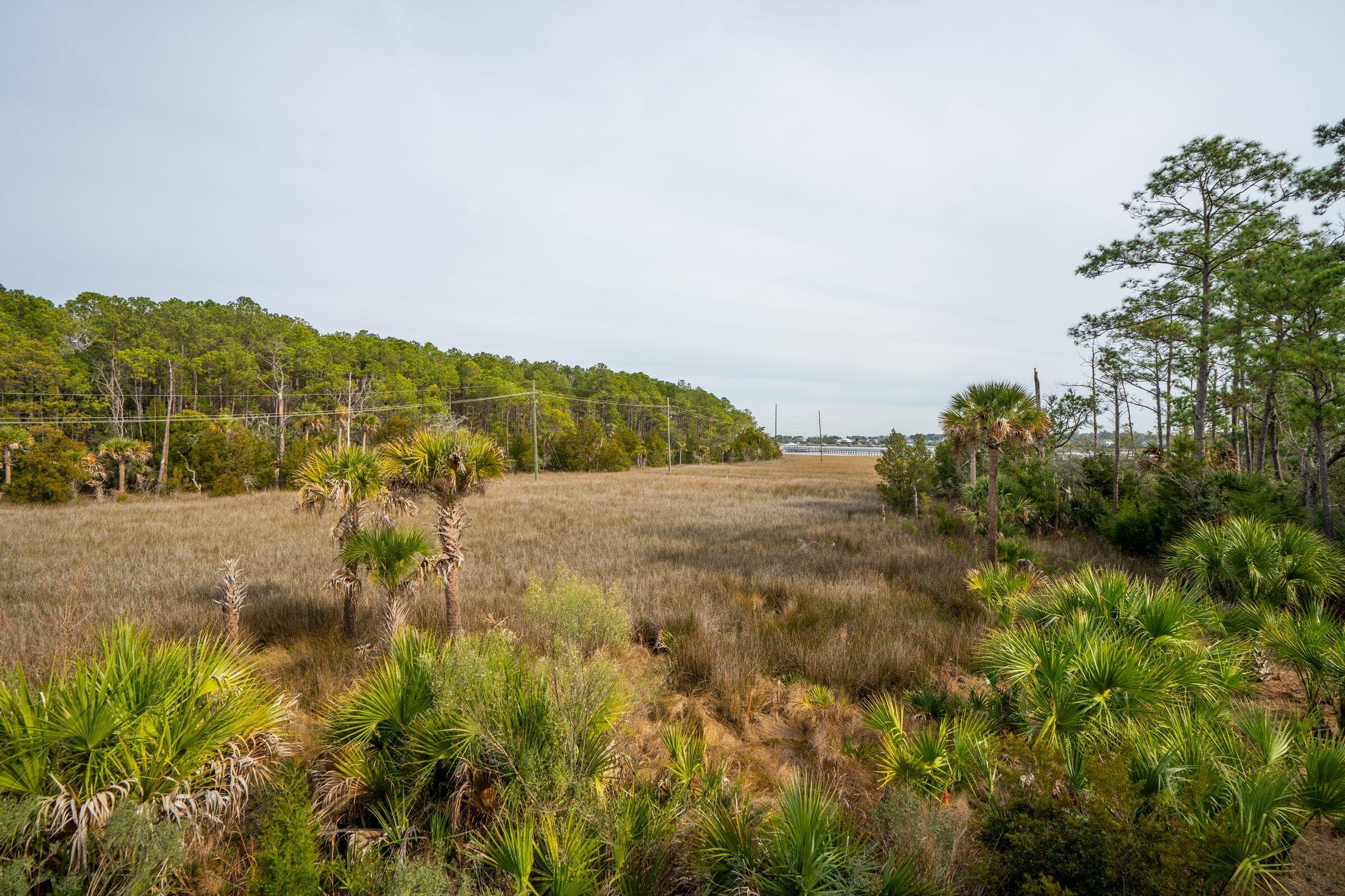 2838 Dragonfly Cir Mount Mount Pleasant, SC 29466 - Photo 63 of 95 2838DragonflyCir-KeenEyeMarketing-074