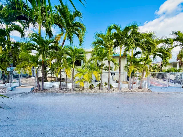 a row of palm trees in front of house