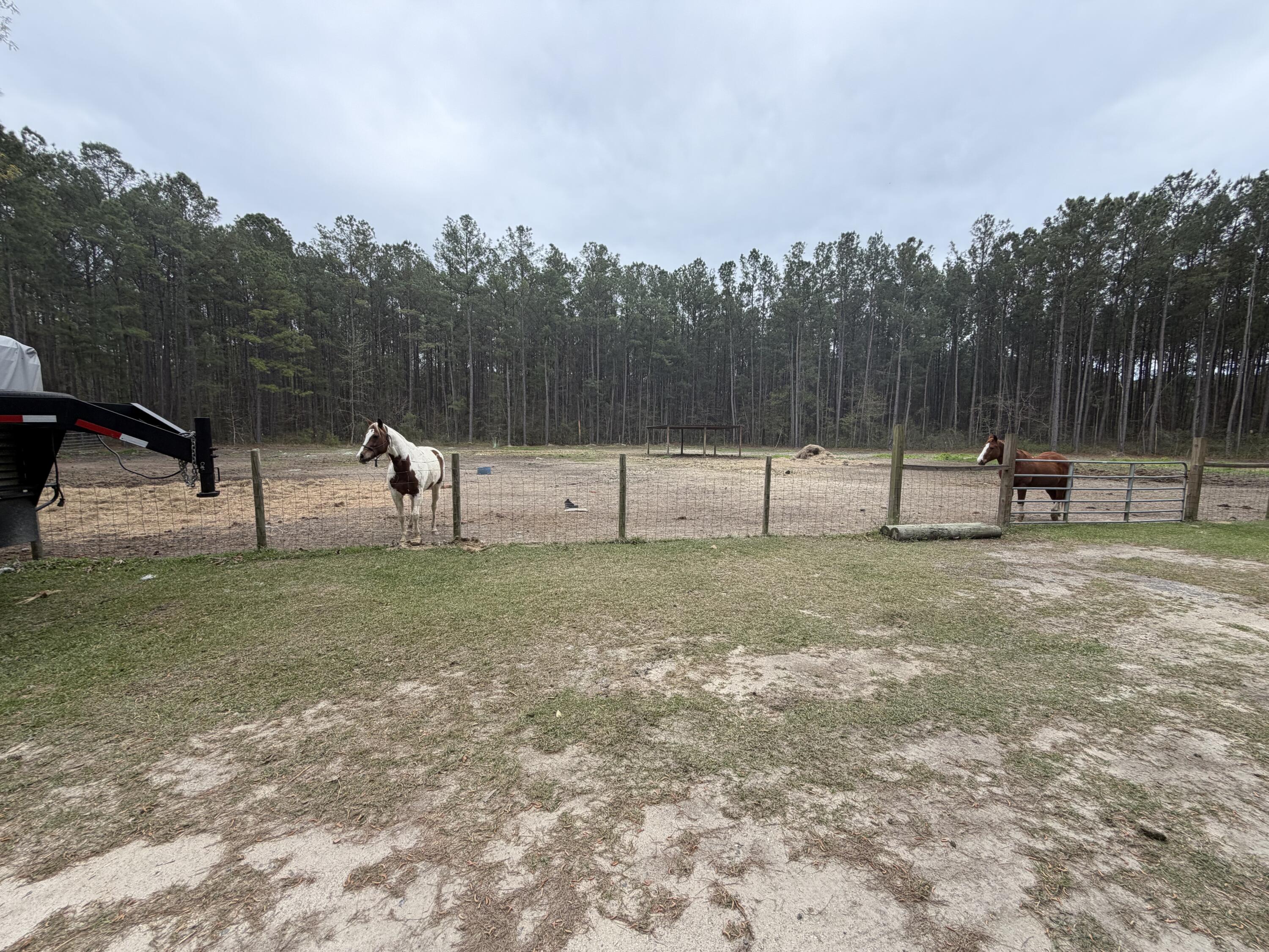 369 Gurney Kay Lane St. Stephen, SC 29479 - Photo 42 of 45 IMG_2379