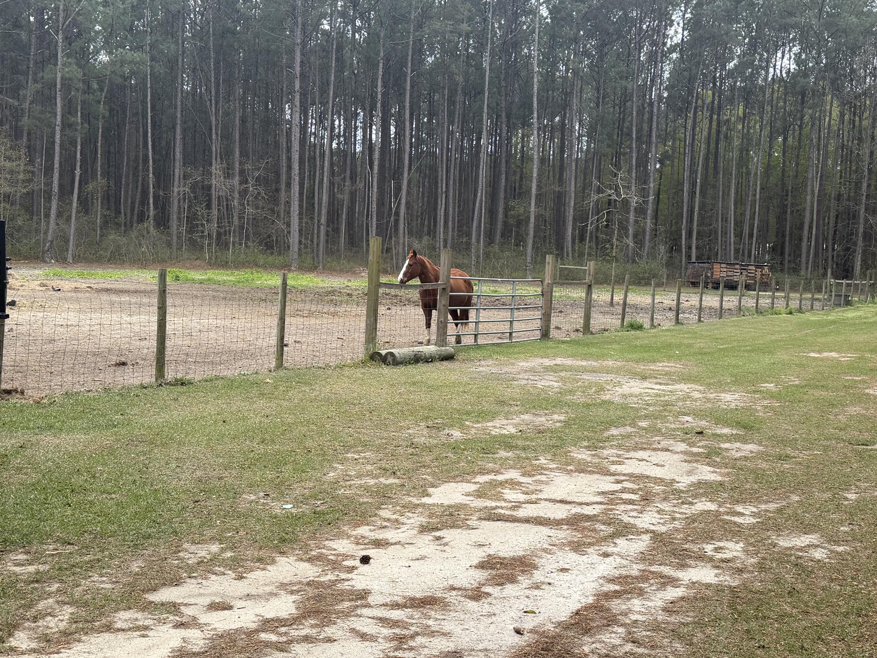 369 Gurney Kay Lane St. Stephen, SC 29479 - Photo 43 of 45 IMG_2378