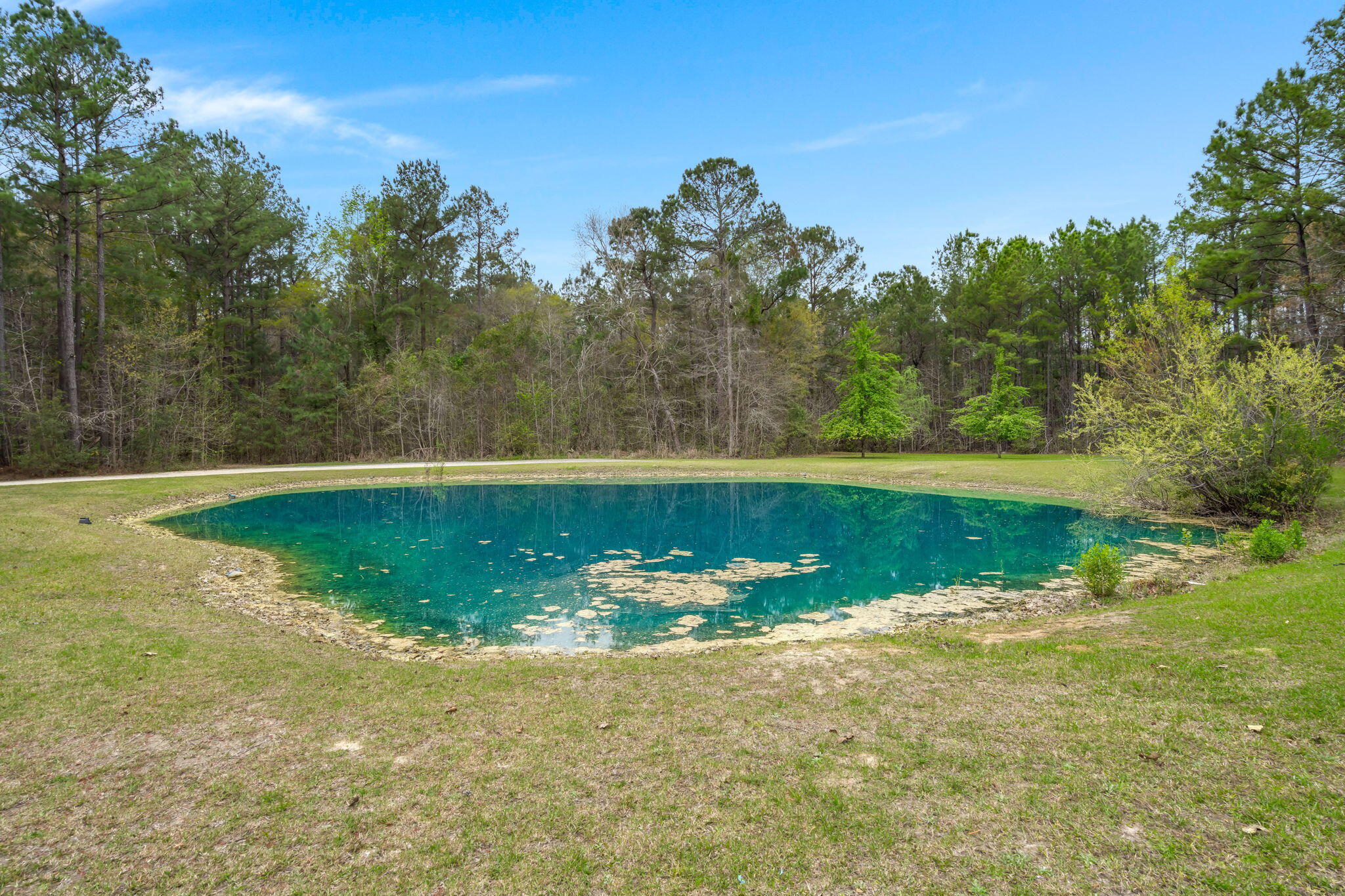 369 Gurney Kay Lane St. Stephen, SC 29479 - Photo 9 of 45 8