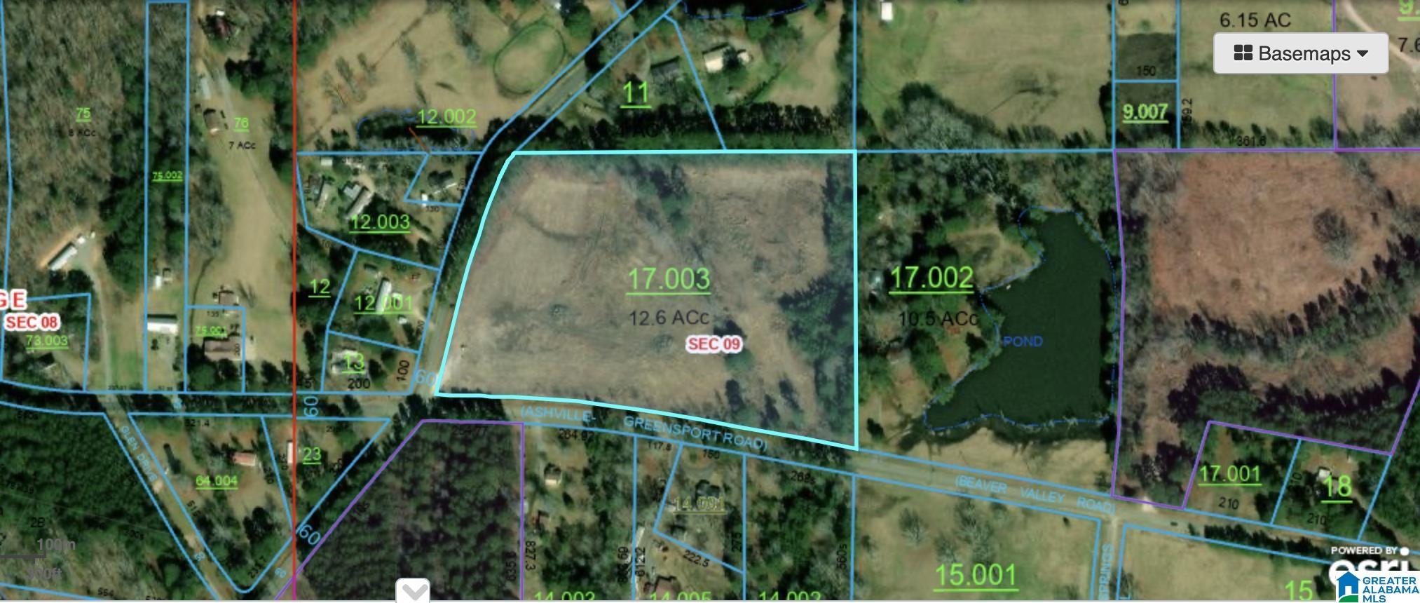 0 Greensport Road Ashville, AL 35953 - Photo 40 of 43