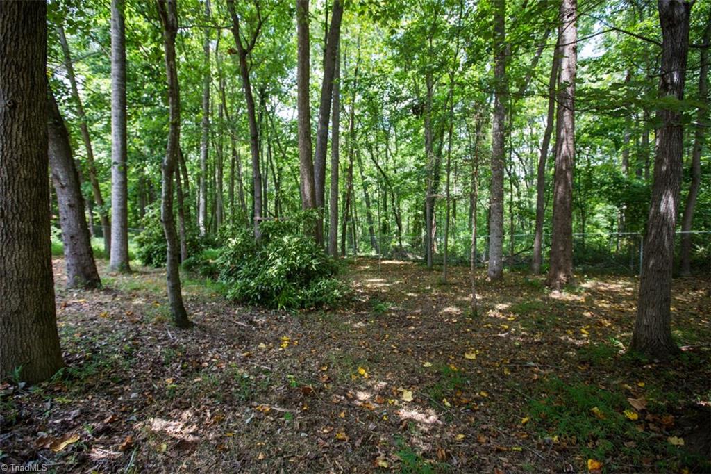 703 Ridgeworth Avenue High Point, NC 27265 - Photo 23 of 24 Gallery Image 23