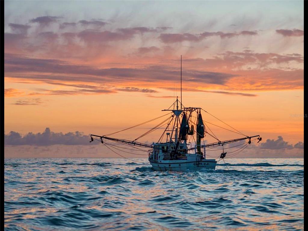 8662 Grand Avenue Boca Grande, FL 33921 - Photo 60 of 63 a view of a lake with a mountain in the background