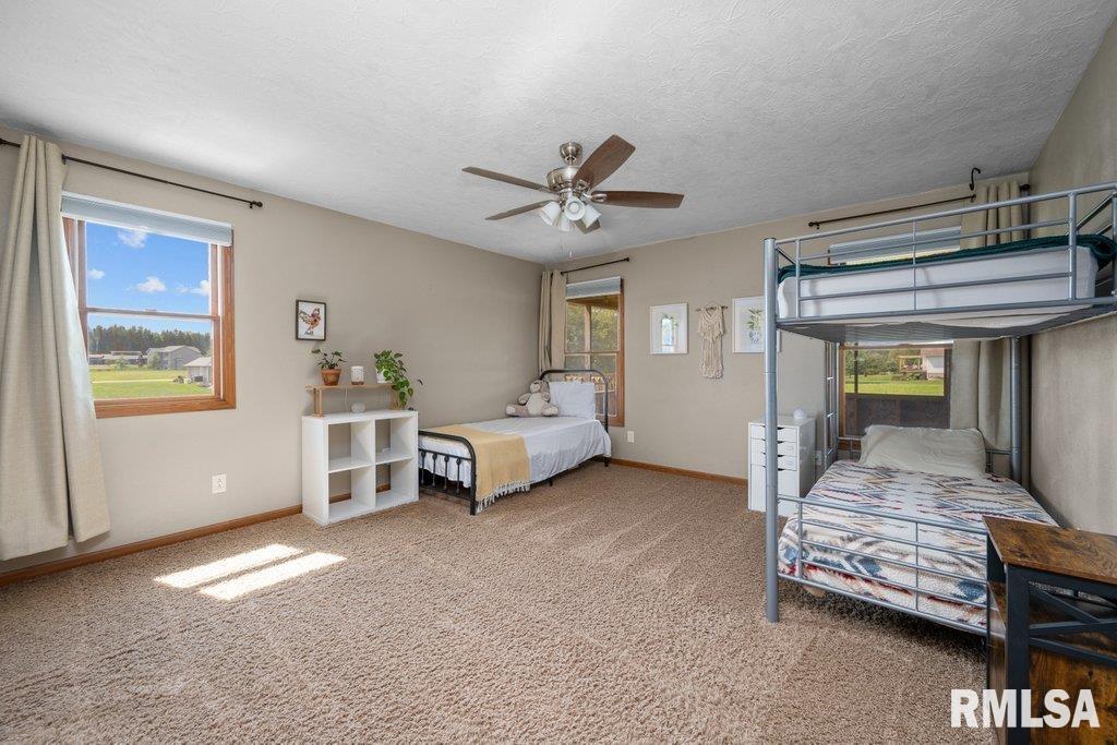 2103 Timber Ridge Drive Port Byron, IL 61275 - Photo 32 of 48