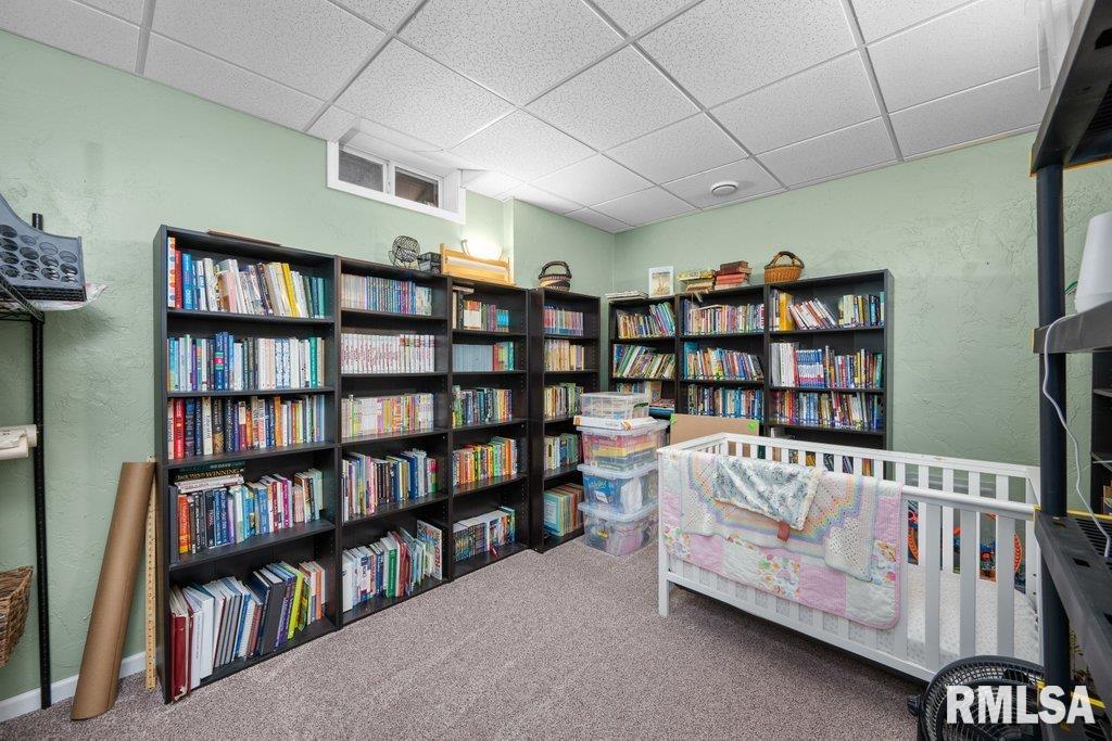 2103 Timber Ridge Drive Port Byron, IL 61275 - Photo 41 of 48