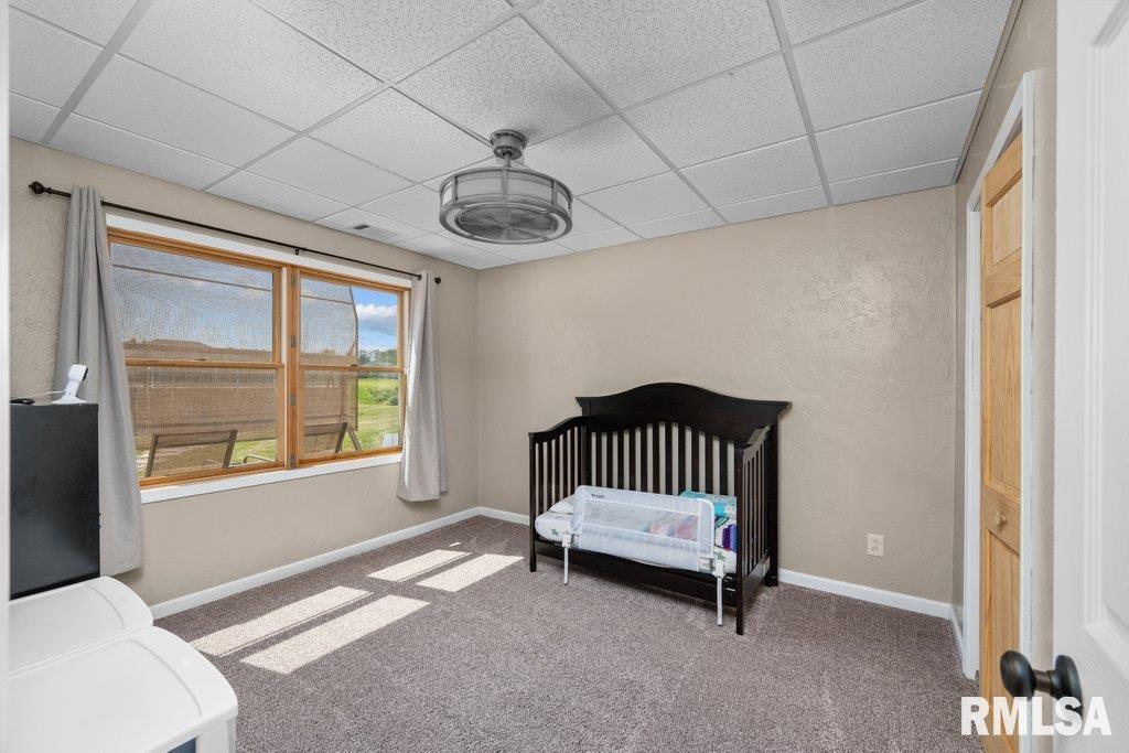 2103 Timber Ridge Drive Port Byron, IL 61275 - Photo 43 of 48