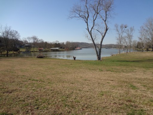 Green Acres Road Kingston, TN 37763 - Photo 11 of 21 Additional Photo