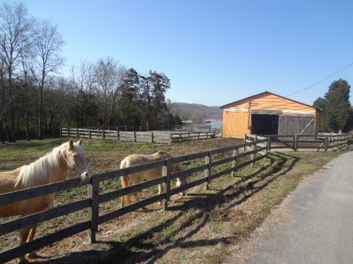 Green Acres Road Kingston, TN 37763 - Photo 17 of 21 Additional Photo