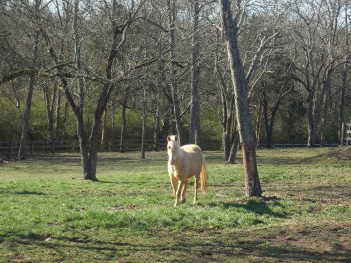 Green Acres Road Kingston, TN 37763 - Photo 21 of 21 Additional Photo