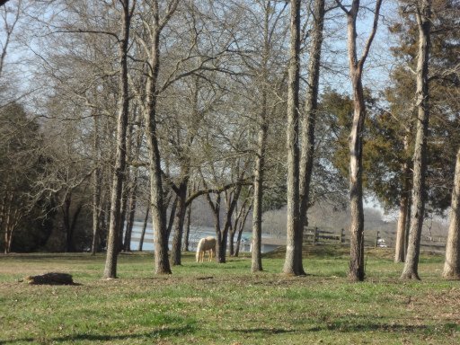 Green Acres Road Kingston, TN 37763 - Photo 5 of 21 Additional Photo