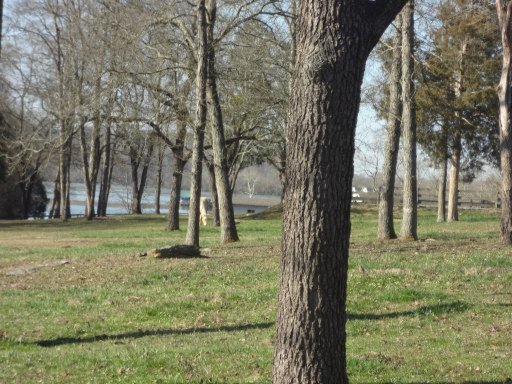 Green Acres Road Kingston, TN 37763 - Photo 10 of 21 Additional Photo