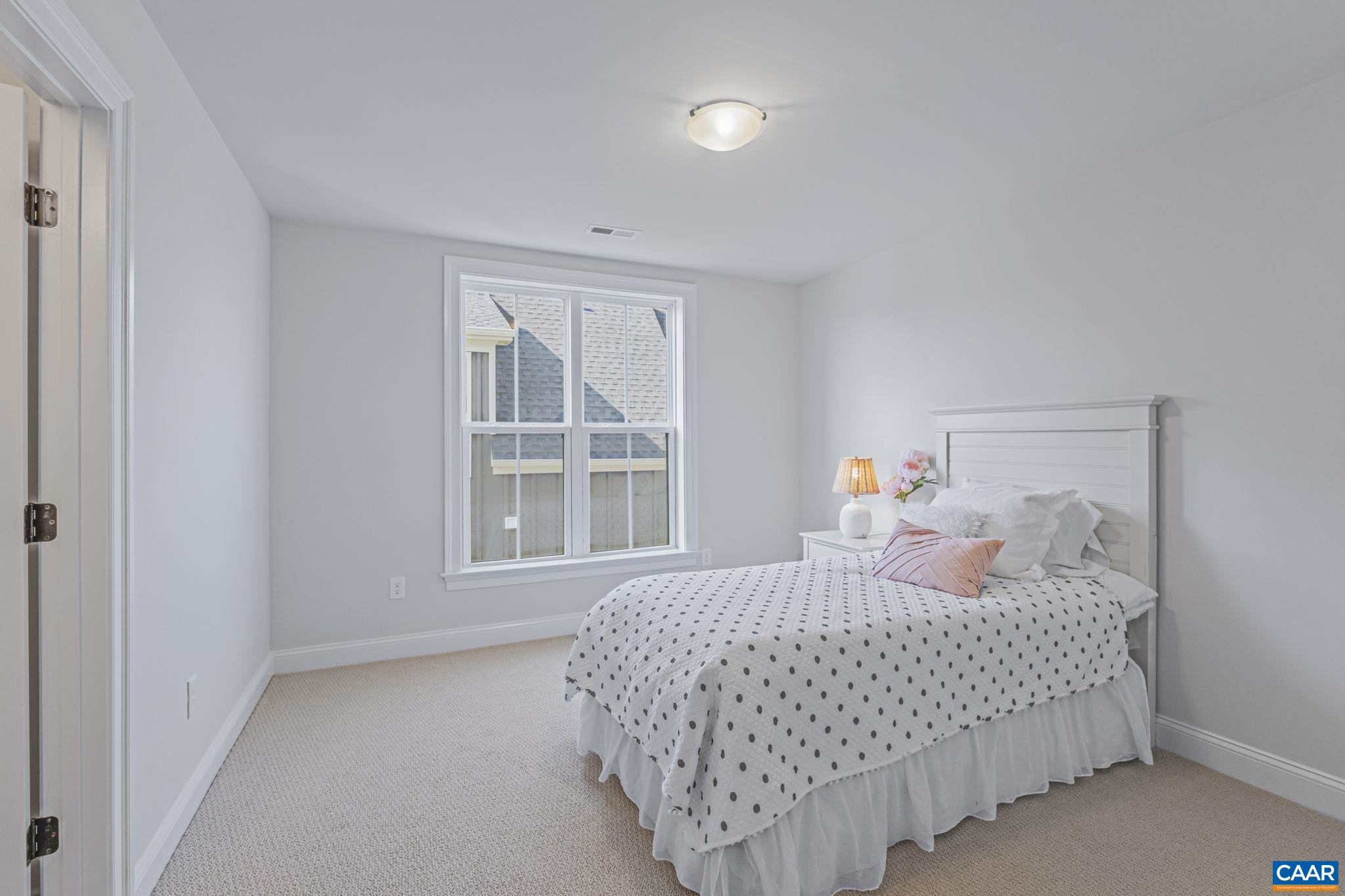 114426 Riparian Court Charlottesville, VA 22911 - Photo 36 of 55