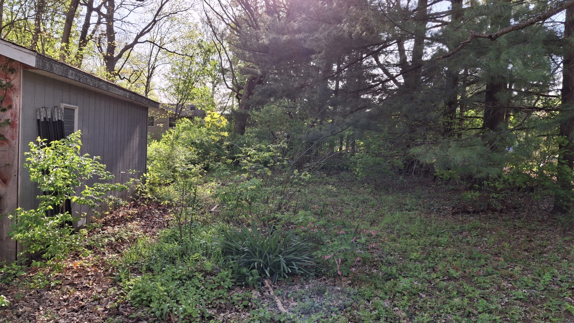 2580 East 450th Road Oglesby, IL 61348 - Photo 15 of 33 Gallery Image 15
