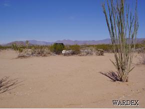 2788 South Jesse James Road Yucca, AZ 86438 - Photo 9 of 10 Additional Photo