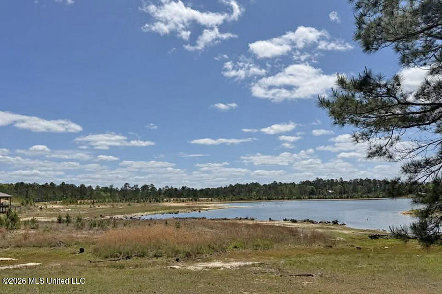 65 Mitchell Road Leakesville, MS 39451 - Photo 48 of 66 7 (1)