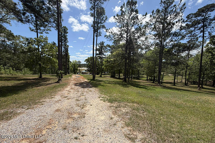 65 Mitchell Road Leakesville, MS 39451 - Photo 56 of 66 8 (2)