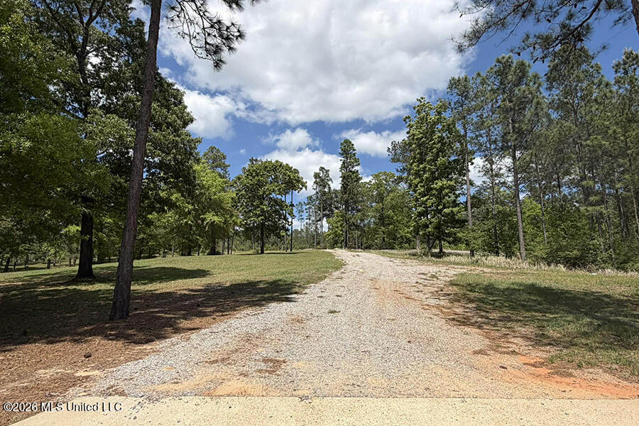 65 Mitchell Road Leakesville, MS 39451 - Photo 57 of 66 8 (3)