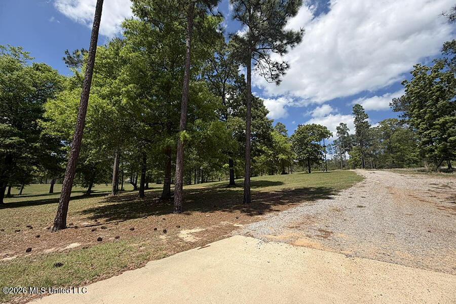 65 Mitchell Road Leakesville, MS 39451 - Photo 58 of 66 8 (4)