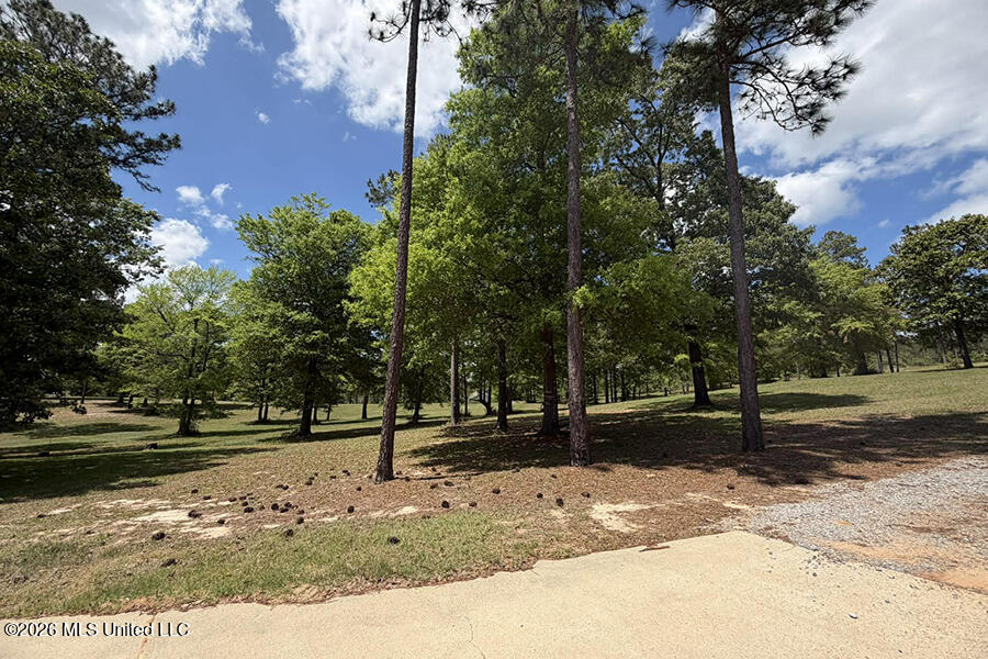 65 Mitchell Road Leakesville, MS 39451 - Photo 59 of 66 8 (5)
